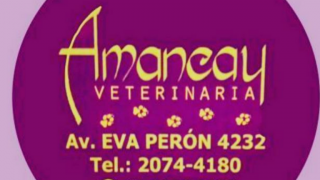 veterinario barato buenos aires Amancay Centro Veterinario