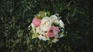 tiendas para comprar tulipanes buenos aires El Arte de la Flor