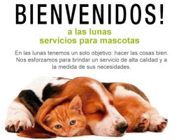 alojamientos para perros en buenos aires las lunas