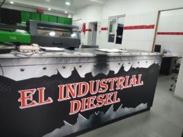 reparaciones de bombas de inyeccion diesel en buenos aires El Industrial