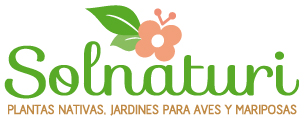 tiendas para comprar plantas de terraza buenos aires Vivero de Plantas Nativas Solnaturi Venta online