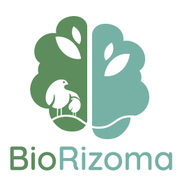 Ofrecemos consultas individuales de forma Online. BioRizoma es un método de trabajo […]
