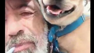 dog sitter buenos aires Paseador de Perros Belgrano