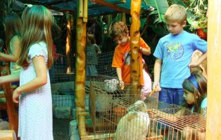 Mini Zoológico en Happy Park