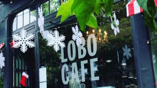 nice coffee shops in buenos aires Lobo Café Palermo