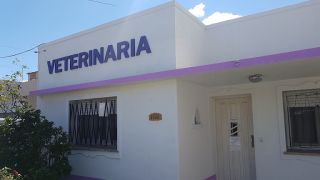 veterinary pharmacies in buenos aires Veterinaria Villa Altube
