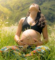 Blog sobre fertilidad