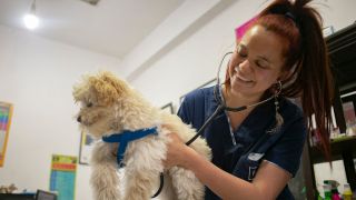 lugares de venta de aves en buenos aires Veterinaria y Pet Shop 