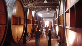 gastronomic classrooms in buenos aires Mente Argentina