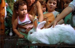 Mini Zoológico en Happy Park