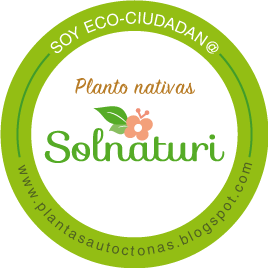 tiendas para comprar plantas de terraza buenos aires Vivero de Plantas Nativas Solnaturi Venta online