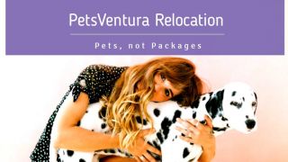 animal transport companies buenos aires PetsVentura Pet Relocation Solutions