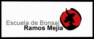 clases bonsai buenos aires Escuela Bonsai Ramos Mejía