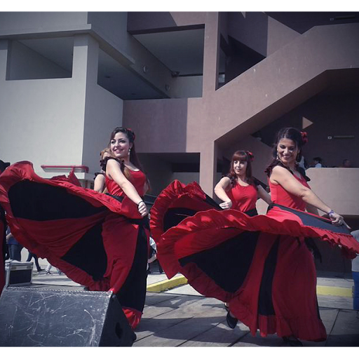Academia de Baile Flamenco