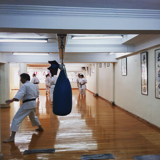 Nintai Dojo - Clases de Karate-Do y Kobudo