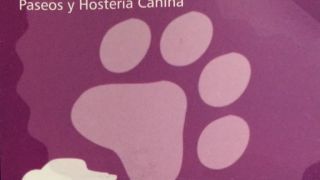 guarderia para perros buenos aires RF Positivo Guarderia Canina