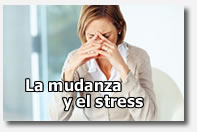 La Mudanza y el stress por la