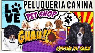 peluquerias caninas en buenos aires Peluquería Canina y Pet Shop . LOVE