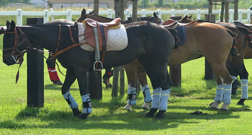 Estancia la Margarita