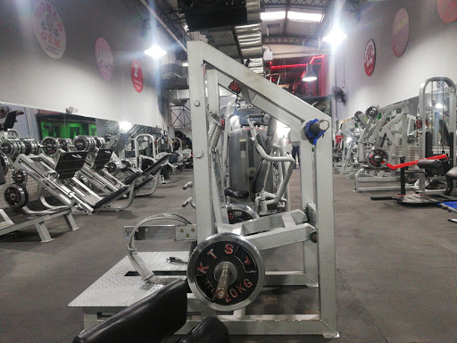 Gimnasio XXL