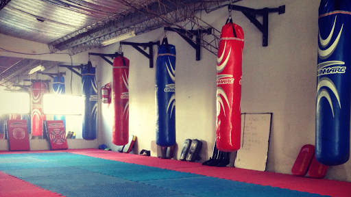 El Palacio - Artes Marciales y Fitness Center