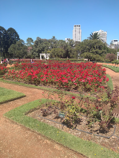 Paseo El Rosedal