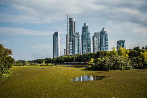 Reserva Ecológica Costanera Sur