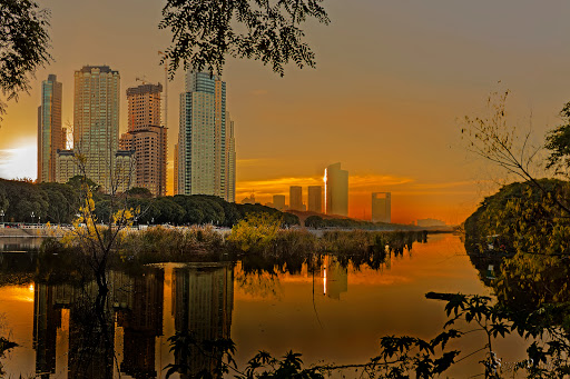 Reserva Ecológica Costanera Sur