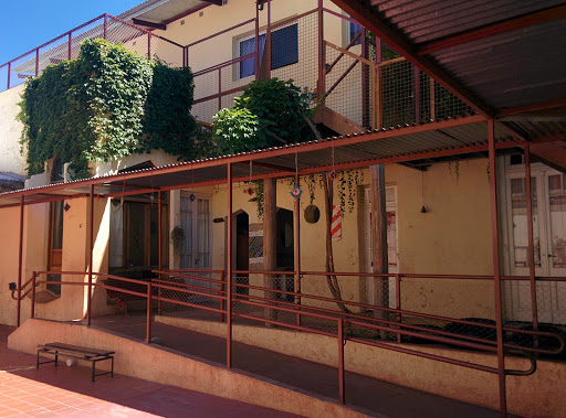 Escuela Waldorf Juana de Arco