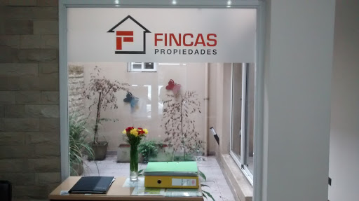 FINCAS BIENES RAICES